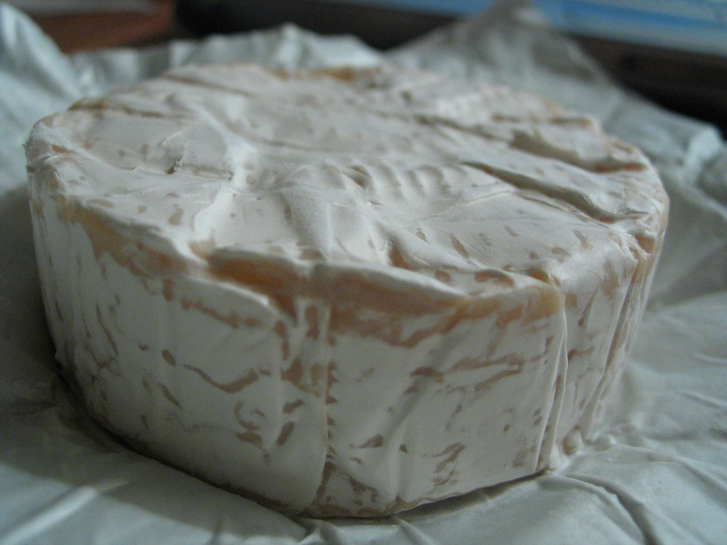 White Bloomy Rind Brie: What you need to know