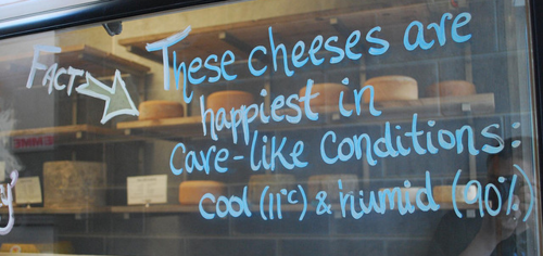 cheese shop in england