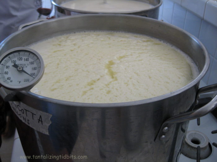 making ricotta cheese