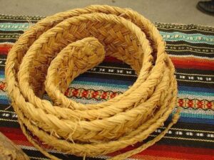 Esparto grass mold