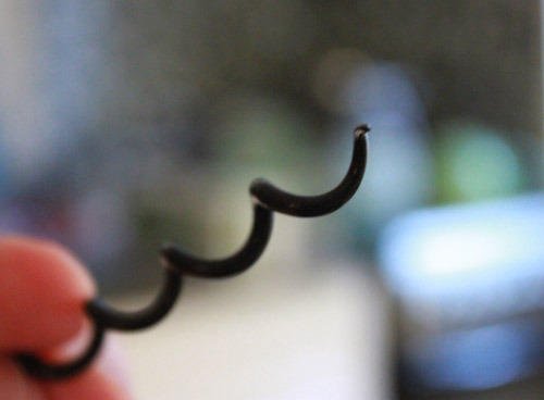 A corkscrew held up close to the camera