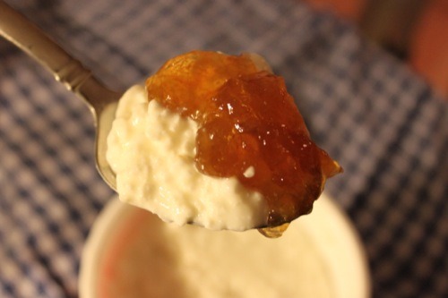 Spoonful of cottage cheese topped with orange Greek marmalade
